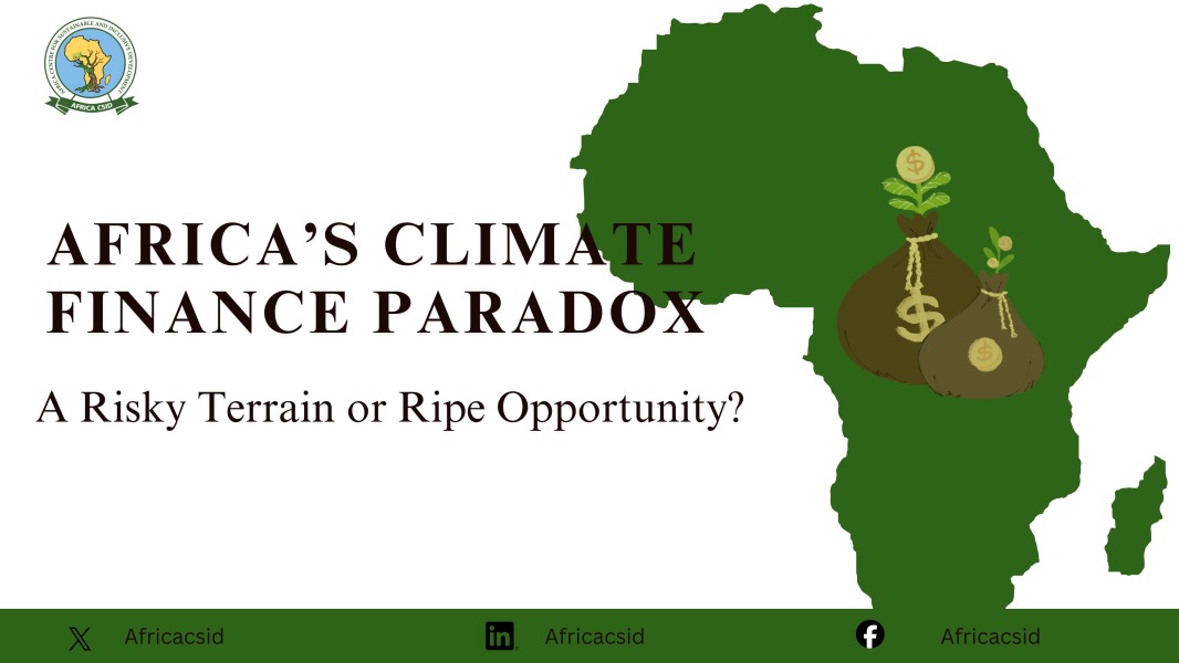 Africa’s Climate Finance Paradox: Risky Terrain or Ripe Opportunity?